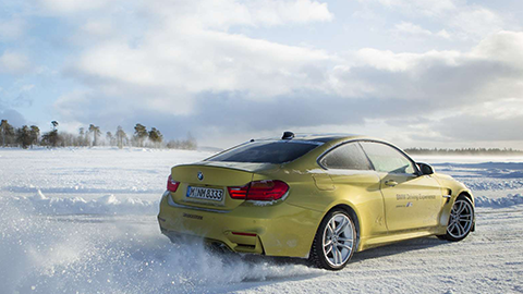 IceTraining_placeholder